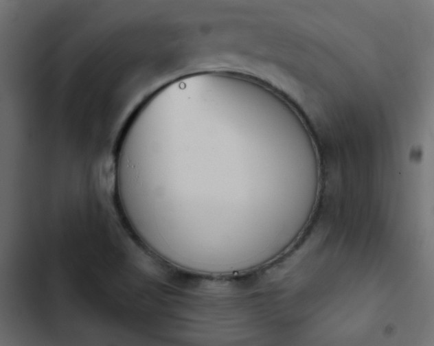 X0000103931509200809261652