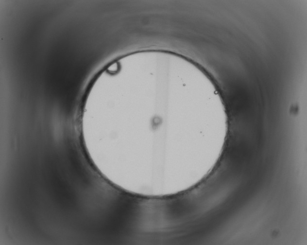 X0000103931510200809261652