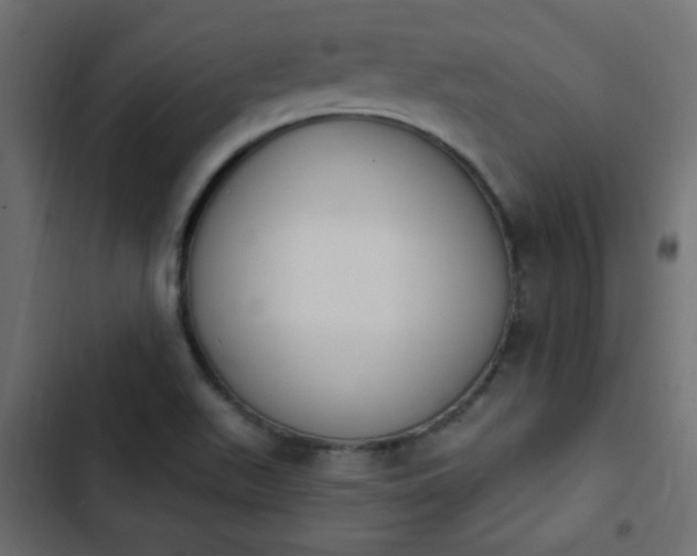 X0000103931511200809261652