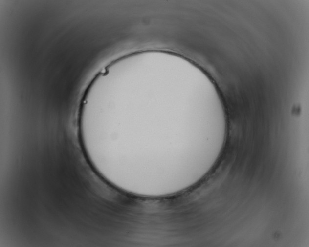 X0000103931512200809261652
