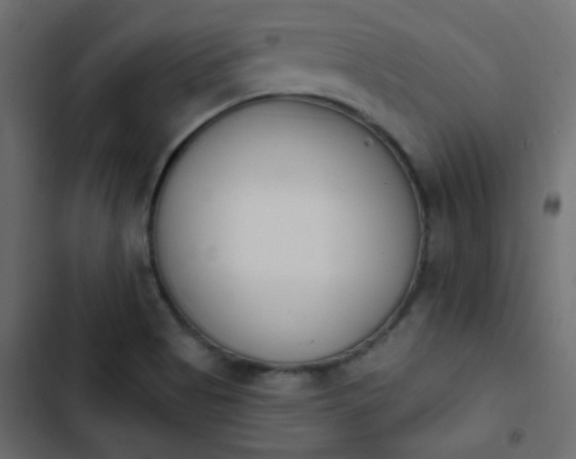 X0000103931513200809261652