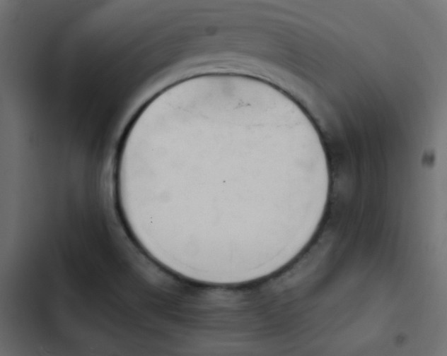 X0000103931514200809261652