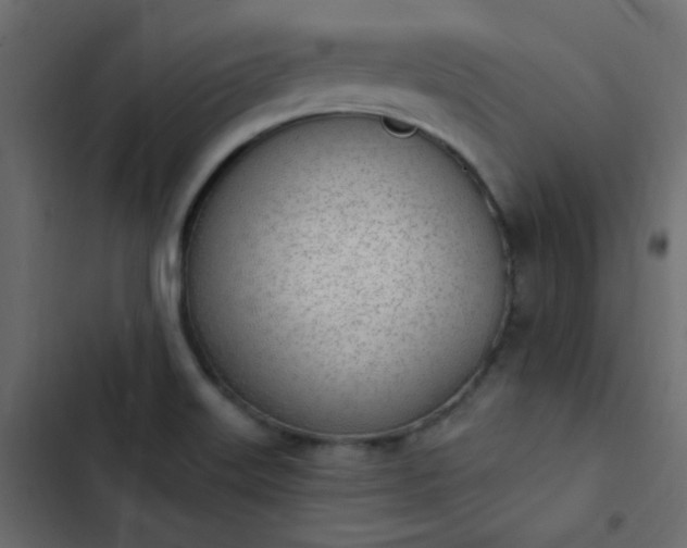 X0000103931515200809261652