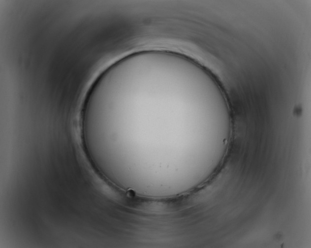 X0000103931517200809261652