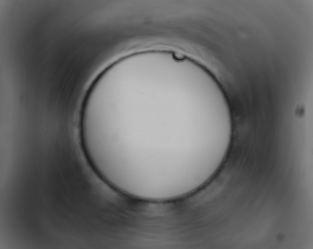 X0000103931518200809261652