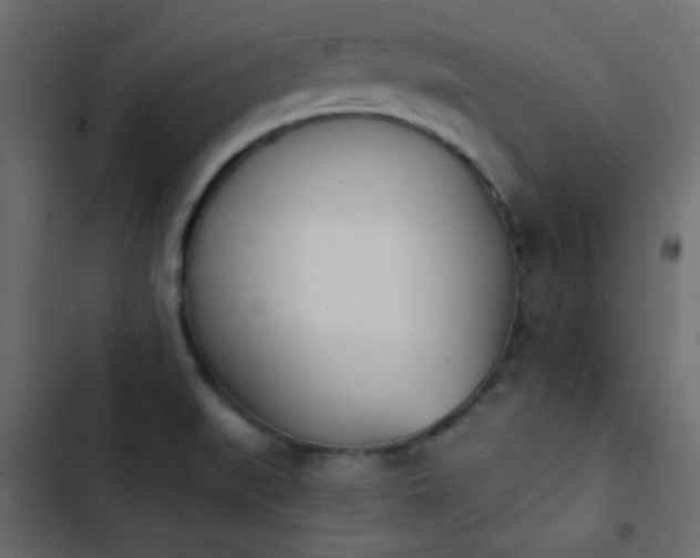 X0000103931519200809261652
