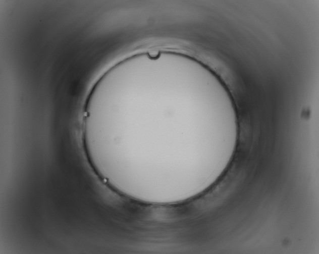 X0000103931520200809261652