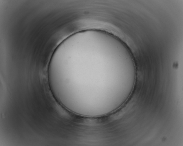 X0000103931521200809261652
