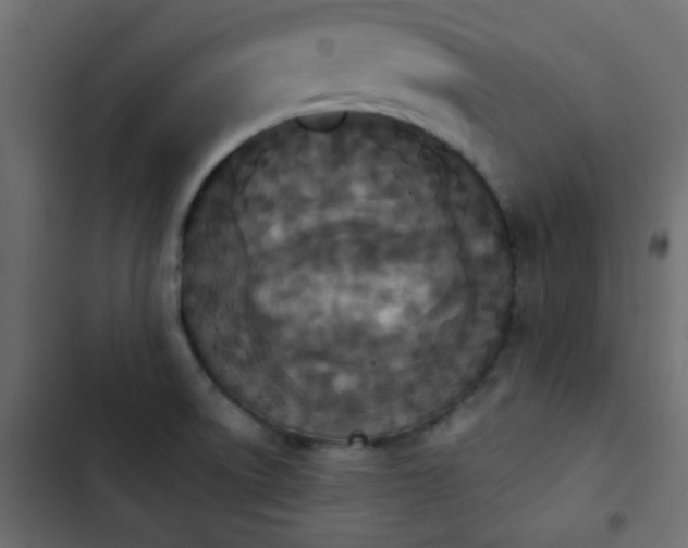 X0000103931522200809261652
