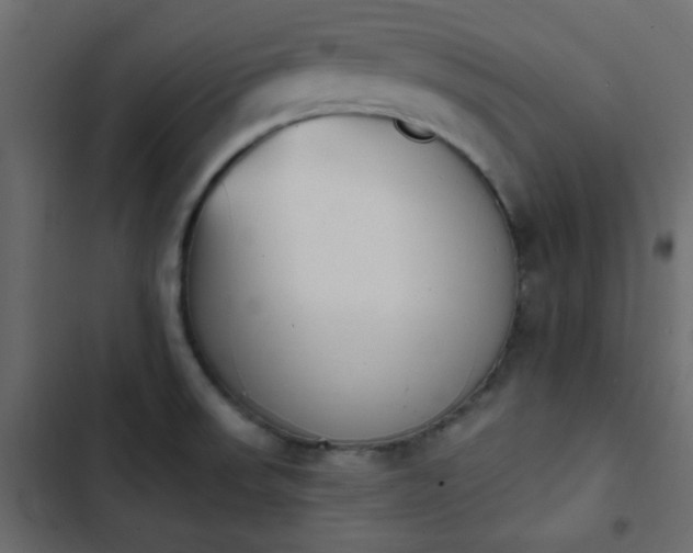 X0000103931523200809261652