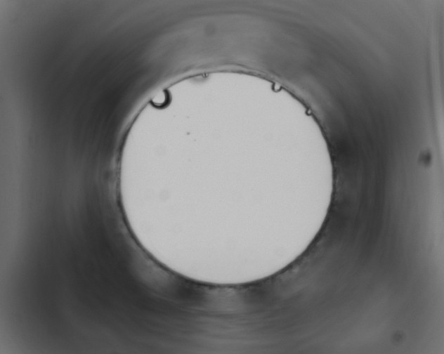 X0000103931524200809261652