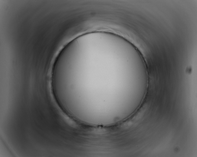 X0000103931525200809261652
