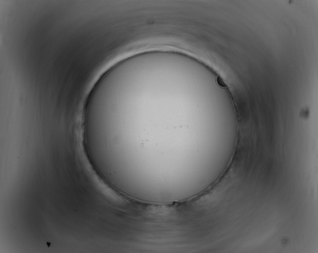 X0000103931526200809261652