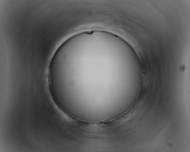 X0000103931527200809261652
