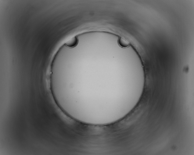 X0000103931528200809261652