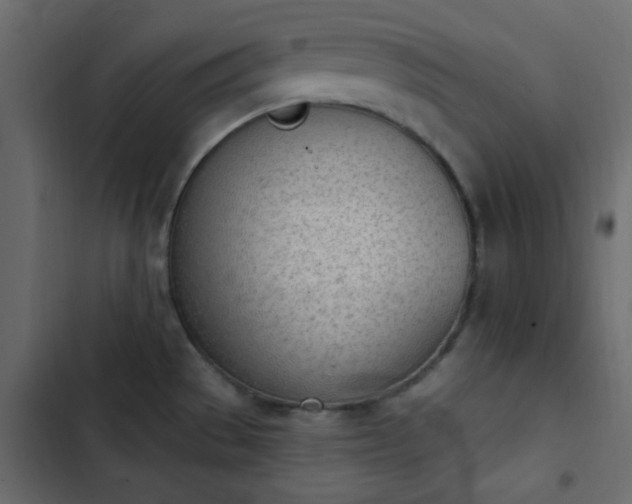 X0000103931529200809261652