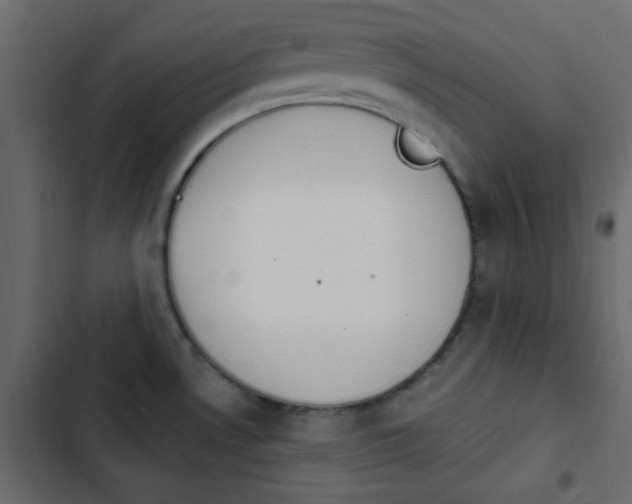 X0000103931530200809261652
