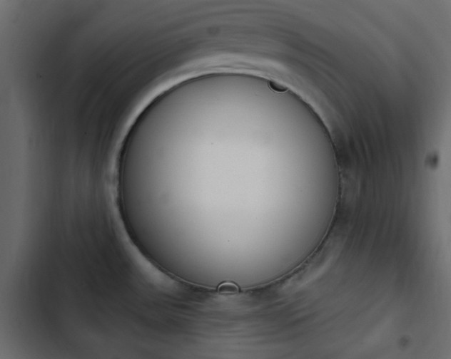 X0000103931531200809261652