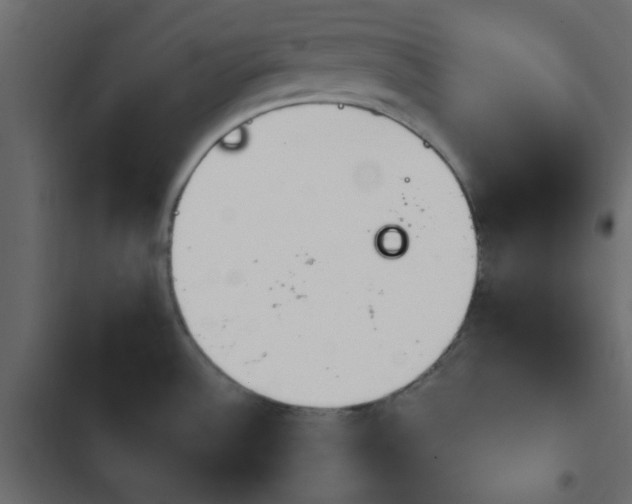 X0000103931532200809261652