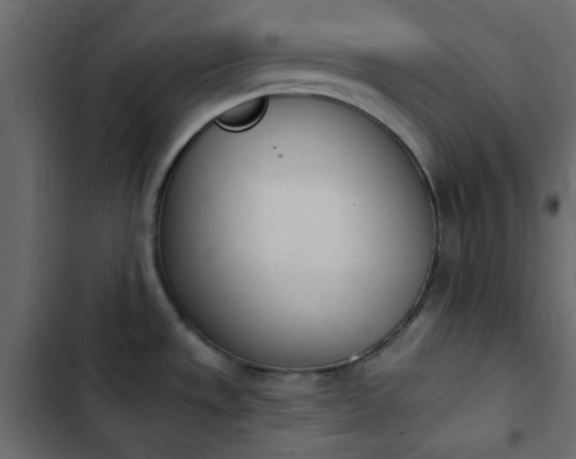 X0000103931533200809261652