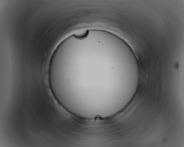 X0000103931534200809261652