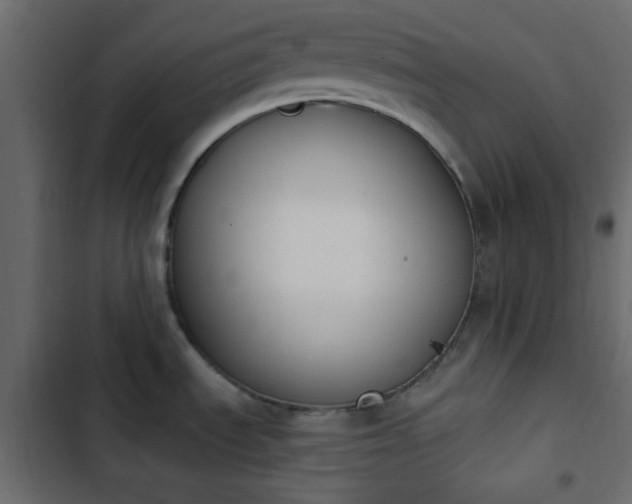 X0000103931535200809261652