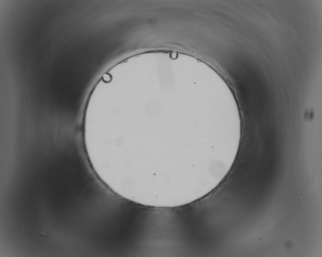 X0000103931536200809261652