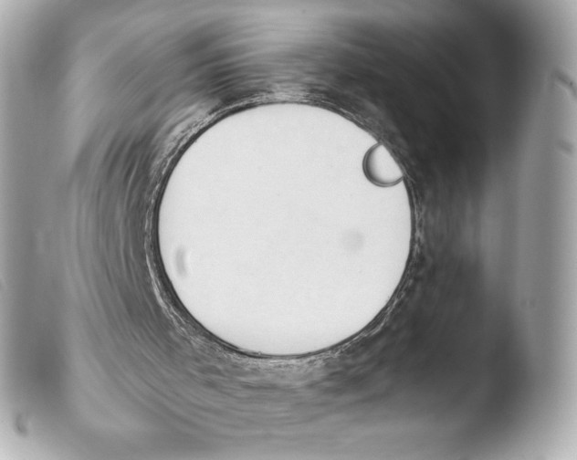 X0000103930001200810031310