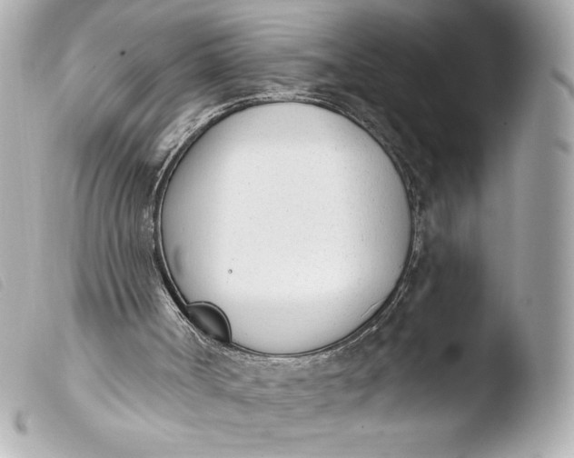 X0000103930002200810031310