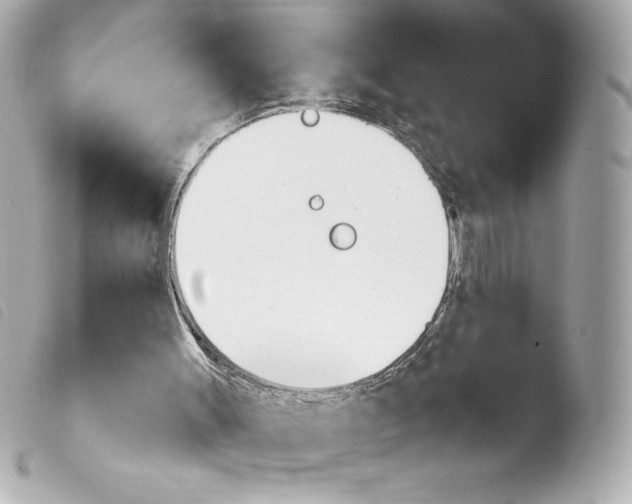 X0000103930003200810031310