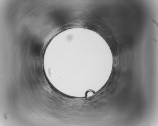 X0000103930004200810031310