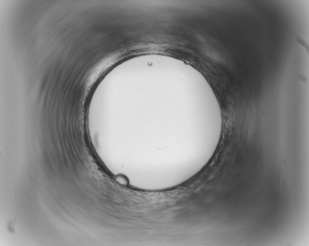 X0000103930006200810031310