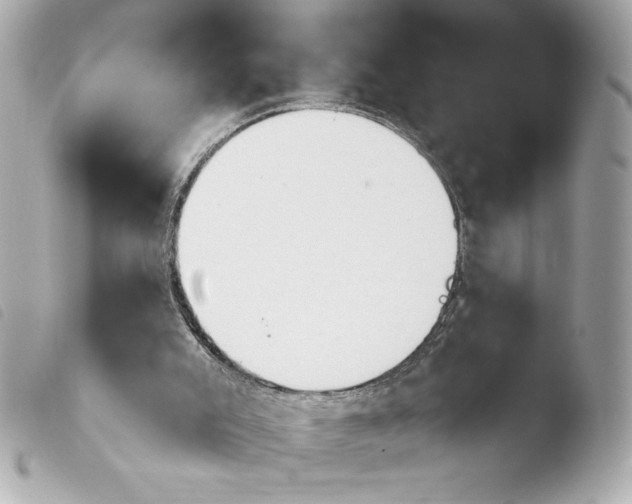 X0000103930007200810031310