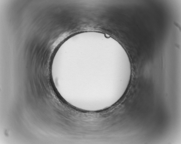 X0000103930008200810031310