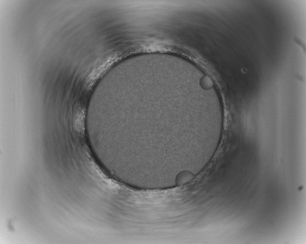 X0000103930009200810031310