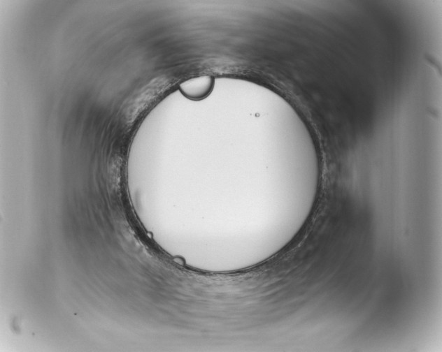 X0000103930010200810031310