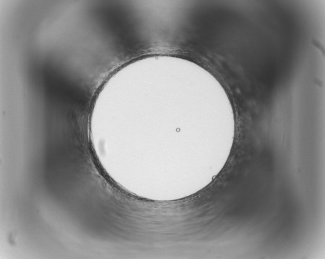 X0000103930011200810031310