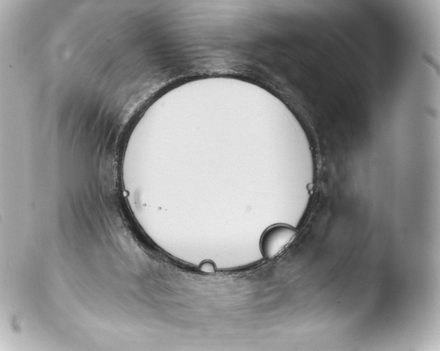 X0000103930012200810031310