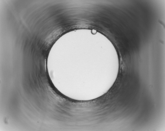 X0000103930013200810031310