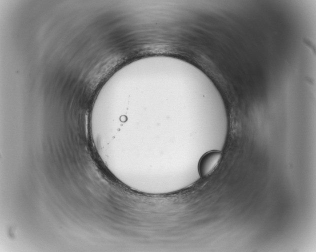 X0000103930014200810031310