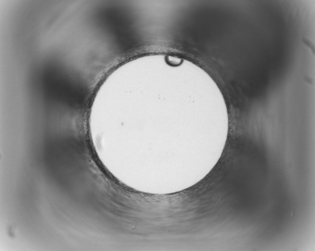 X0000103930015200810031310