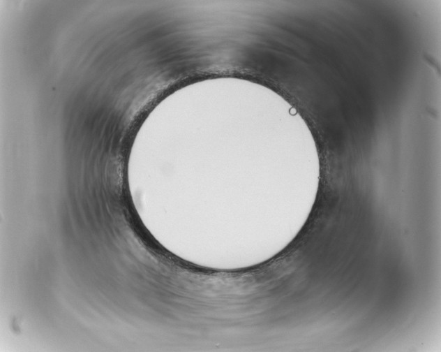 X0000103930016200810031310