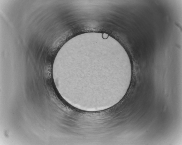 X0000103930017200810031310