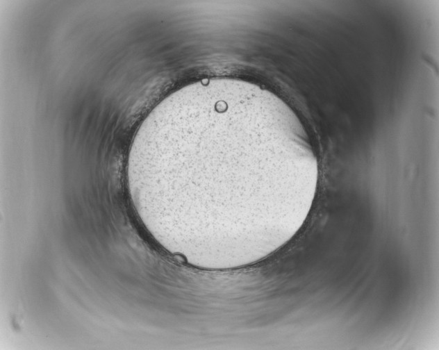 X0000103930018200810031310