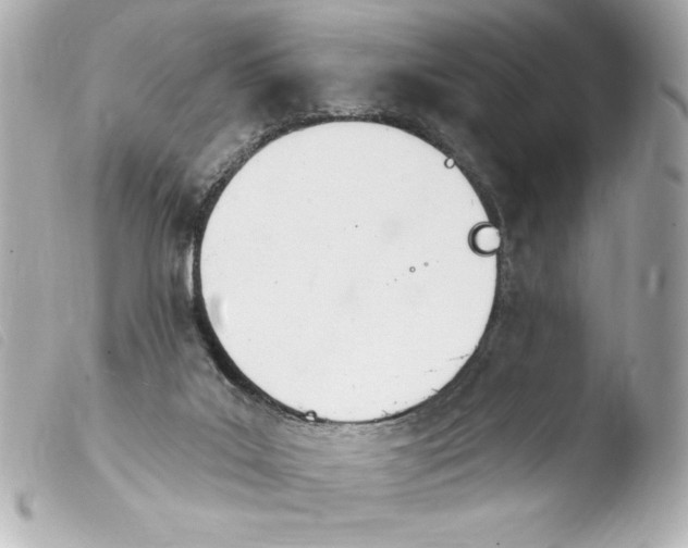 X0000103930019200810031310