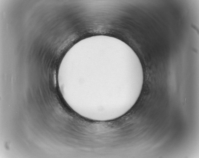 X0000103930020200810031310