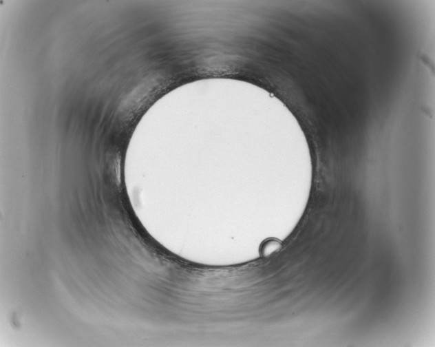 X0000103930021200810031310