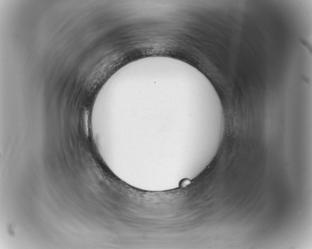 X0000103930022200810031310