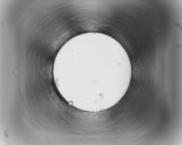 X0000103930023200810031310