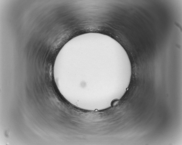 X0000103930024200810031310